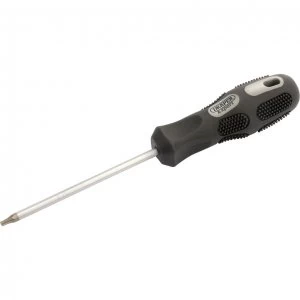 Draper Expert Security Torx Screwdriver T15 100mm