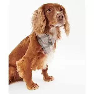 Barbour Tartan Dog Bandana