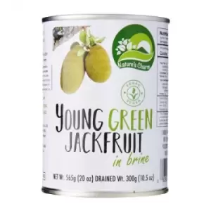 Nature's Charm Young Green Jackfruit in Water 565g