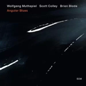 Angular Blues by Wolfgang Muthspiel CD Album