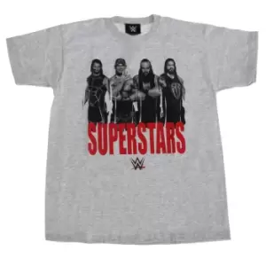 WWE Superstars Childrens Boys Wrestling T-Shirt (5-6 Years) (Grey)