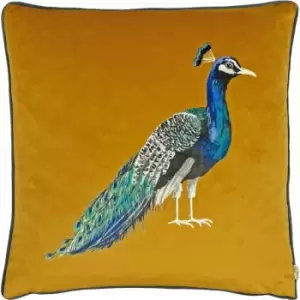 Evans Lichfield Peacock Velvet Piped Edge Cushion Cover, Saffron, 43 x 43 Cm