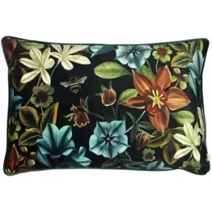 Evans Lichfield Midnight Garden Aquilegia Cushion Cover (40cm x 60cm) (Teal) - Teal