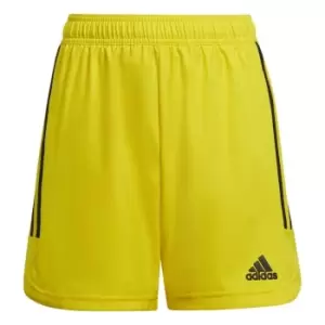 adidas C22 Performance Shorts Juniors - Yellow