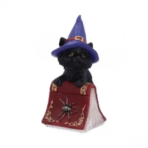 Hocus Black Cat Spellbook Figurine