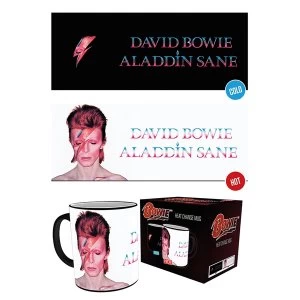 David Bowie Aladdin Sane Heat Change Mug