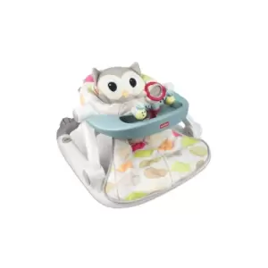 Winfun Owl Sit-to-Walk Activity Centre