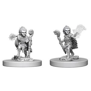 Pathfinder Deep Cuts Unpainted Miniatures (W5) - Gnome Male Druid