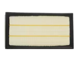 RIDEX Air filter JAGUAR 8A0423 XR830418,XR88237 Engine air filter,Engine filter