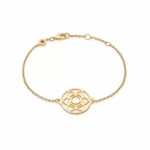 Daisy London Jewellery Sacral Chakra Chain Bracelet 18Ct Gold Plate