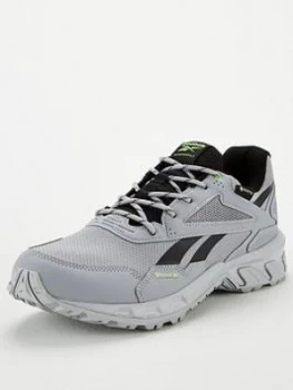 Reebok Gore-Tex Ridgerider 5 - Grey