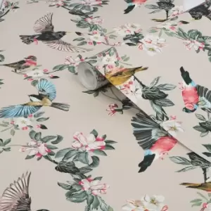 Joules Multicolour Garden Birds Smooth Wallpaper