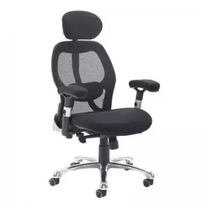 Sandro mesh back executive chair with Black air mesh seat and head