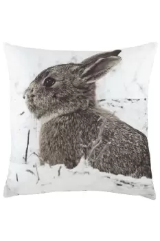 Photo Hare Printed Cushion