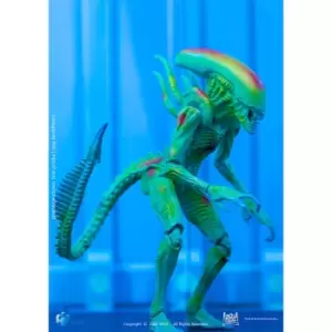 HIYA Toys Alien Vs. Predator Exquisite Mini 1/18 Scale Figure - Thermal Vision Alien Warrior