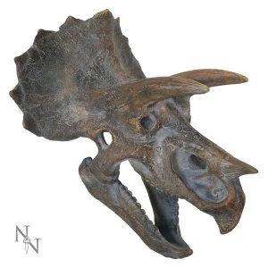 Triceratops Dinosaur Head