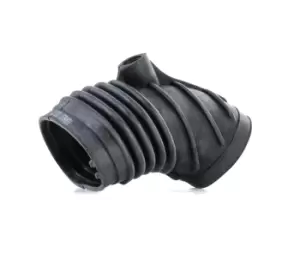 RIDEX Intake Pipe, air filter BMW 1591I0029 13711734258