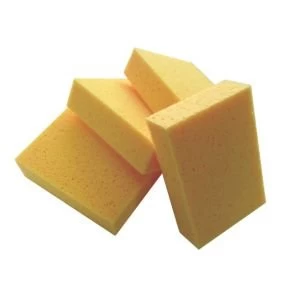 BQ Sponge Pack of 4