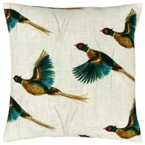 Evans Lichfield Country Pheasant Cushion Cover (One Size) (Cream/Brown/Blue) - Cream/Brown/Blue