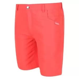 Regatta Sorcer Shorts II - Orange