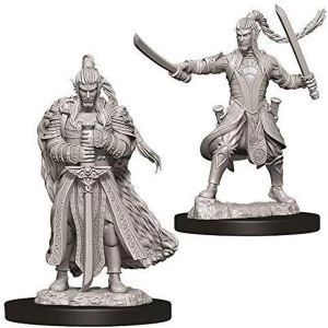 Dungeons & Dragons Nolzur's Marvelous Unpainted Miniatures - Male Elf Paladin