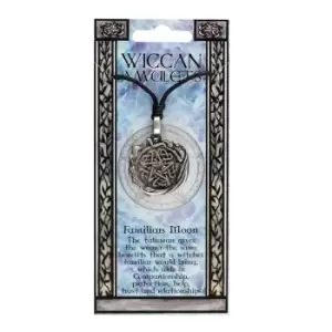 Familiars Moon Wiccan Amulet