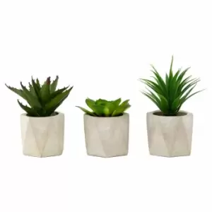 Interiors By Ph Set Of 3 Faux Succulents Geo Cement Pots