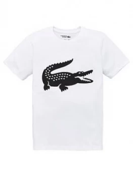 Lacoste Sports Boys Short Sleeve Croc T-Shirt - White, Size 16 Years