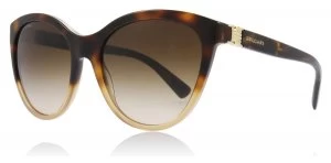 Bvlgari BV8197 Sunglasses Brown Havana Gradient 536213 55mm