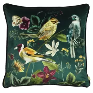 Midnight Garden Bird Cushion Green / 43 x 43cm / Polyester Filled