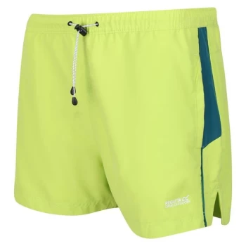 Regatta Rehere Swim Shorts - BrKiw/PacfGr