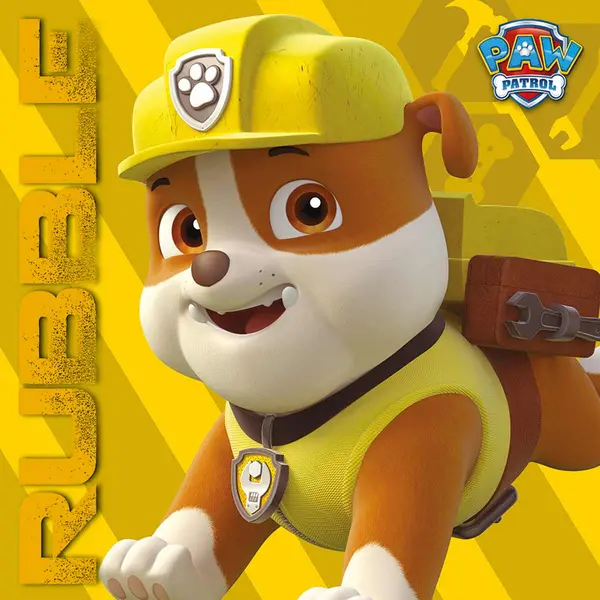 Paw Patrol (Rubble On The Double) 40x40 Canvas DC95934