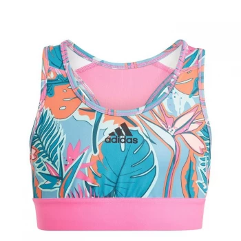 adidas AOP Sports Bra - Pink/Blue