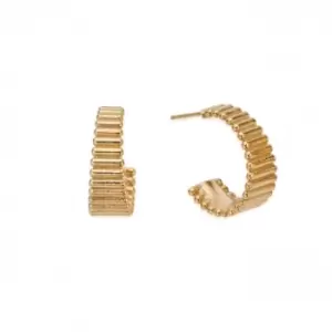 Gold Large Ridge Hoop Earrings GEH3399