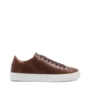 Dune London Thorn Cupsole Trainers - Brown