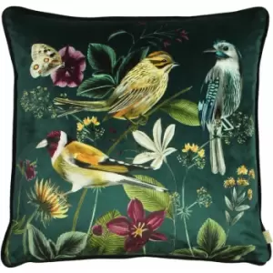 Evans Lichfield Midnight Garden Piped Edge Cushion Cover, Birds, 43 x 43 Cm