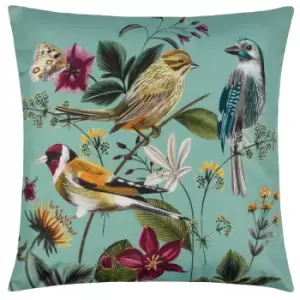 Wylder Nature Midnight Garden Birds Outdoor Cushion Aqua