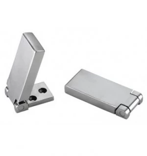 Flush Tall Hinges in Stainless Steel Grade 316