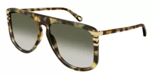 Chloe Sunglasses CH0104S 003