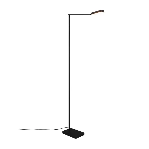 Pavia Modern LED Integrated Floor Lamp Black Matt 2300-3000-4000K