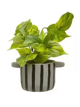 Premier Housewares Fiori Devils Ivy Plant In Striped Pot