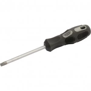 Draper Expert Security Torx Screwdriver T40 115mm