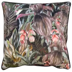 Mogori Wild Medinilla Cushion Aubergine, Aubergine / 50 x 50cm / Polyester Filled