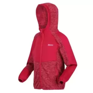 Regatta Dissolver VI Fleece - PkPotion/Bry