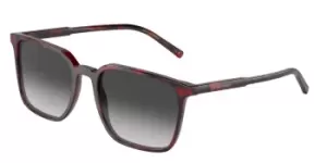 Dolce & Gabbana Sunglasses DG4424 33588G