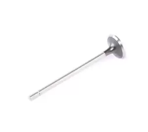 FRECCIA Exhaust Valve R6030/R BMW,RENAULT,NISSAN,8 (E31),CLIO II (BB0/1/2_, CB0/1/2_),Clio III Schragheck (BR0/1, CR0/1),TWINGO II (CN0_)