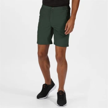 Regatta Leesville II Shorts - Green