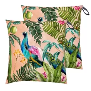 Peacock Large 70cm Outdoor Floor Twin Pack Cushion Blush