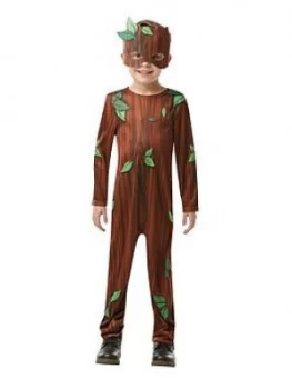 Roald Dahl Twig Boy Costume