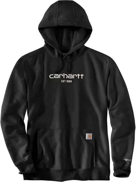 Carhartt Lightweight Logo Graphic Hoodie, black, Size L